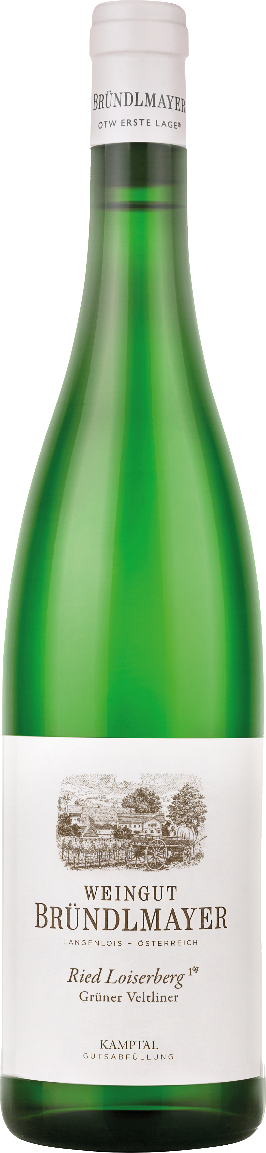 Grüner Veltliner Loiserberg Kamptal DAC 1ÖTW