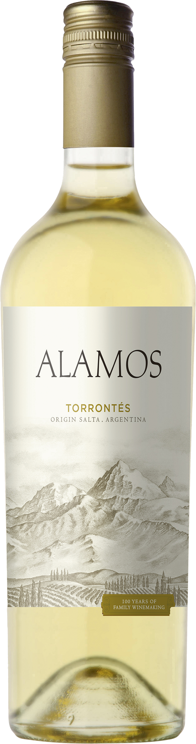 Alamos Torrontés