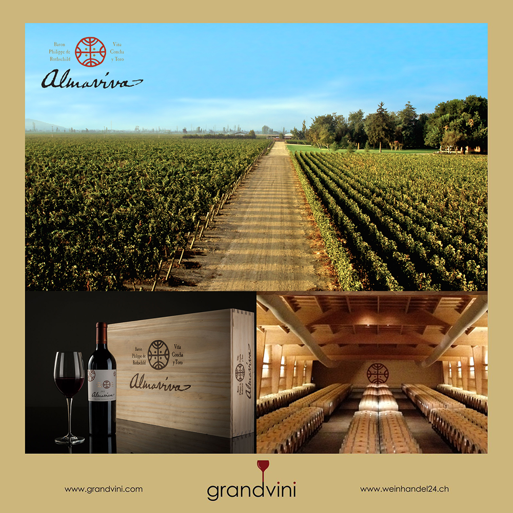 Vina Almaviva Weinhandel24.ch Magazine