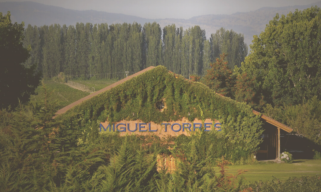 Miguel Torres