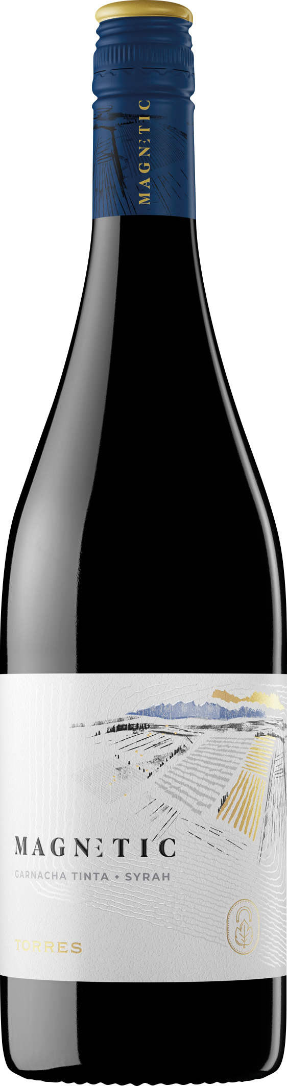 Magnetic Tinto