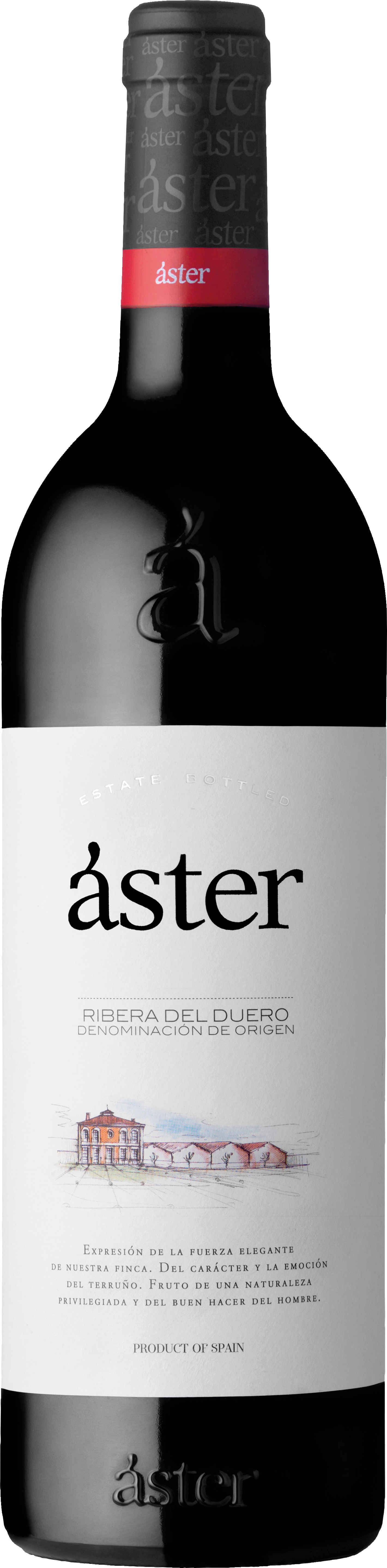Aster Crianza