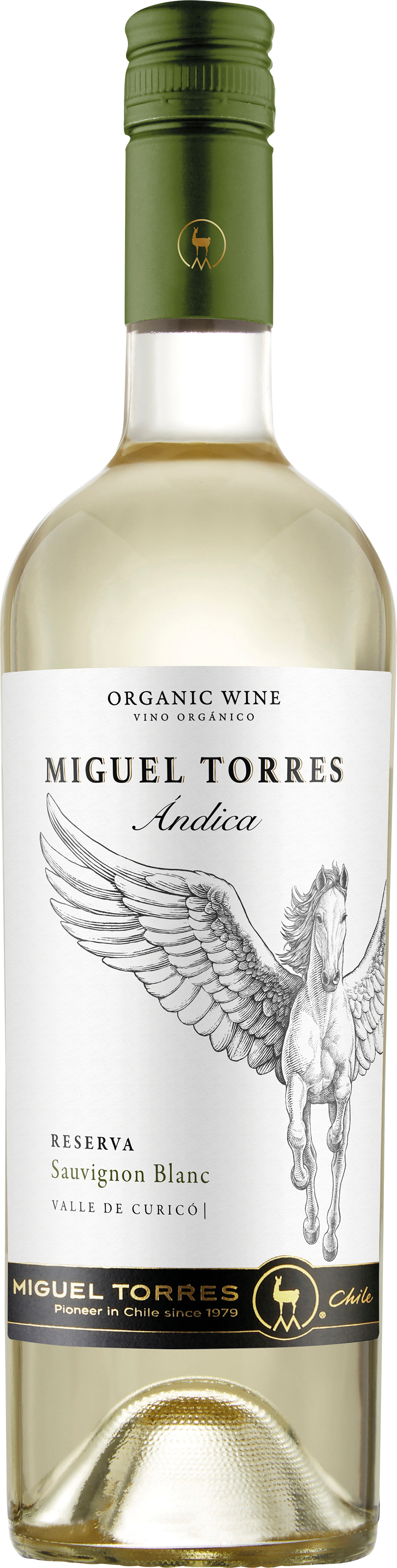 Andica Sauvignon Blanc Reserva