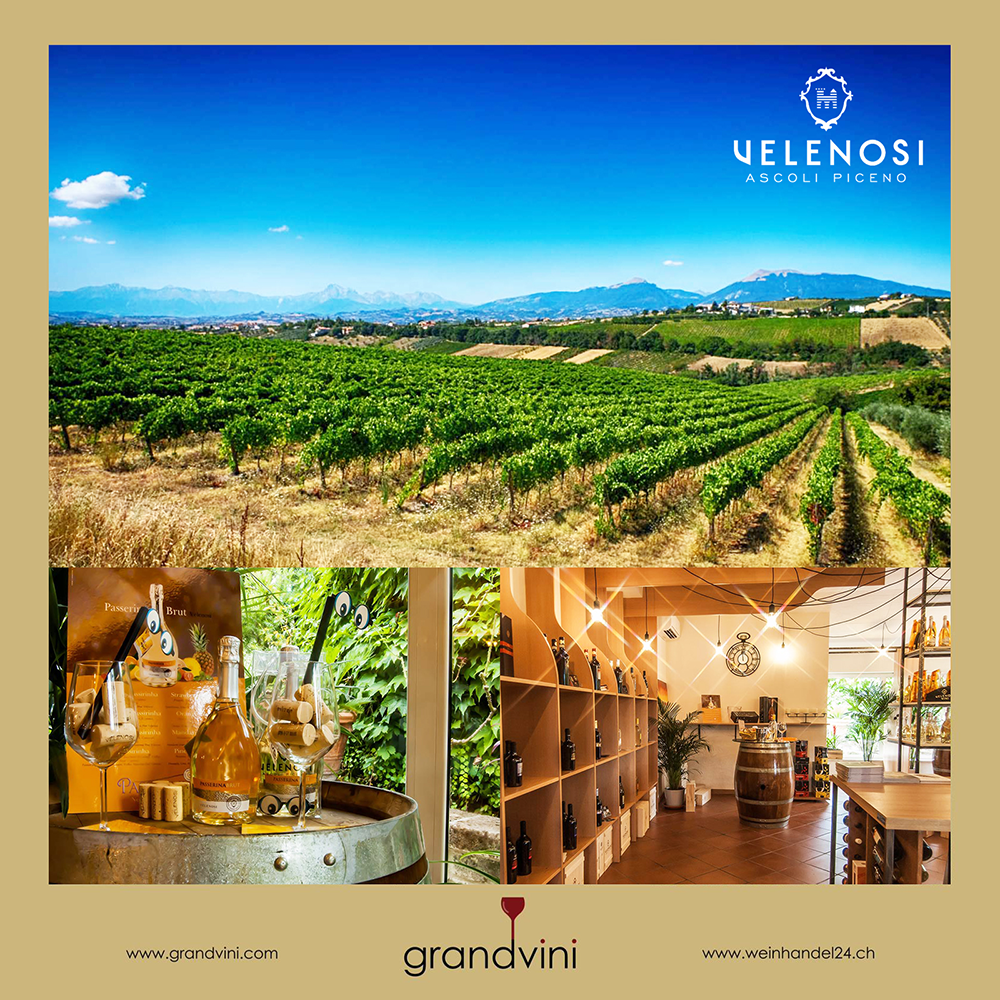 Velenosi Weinhandel24.ch Magazine