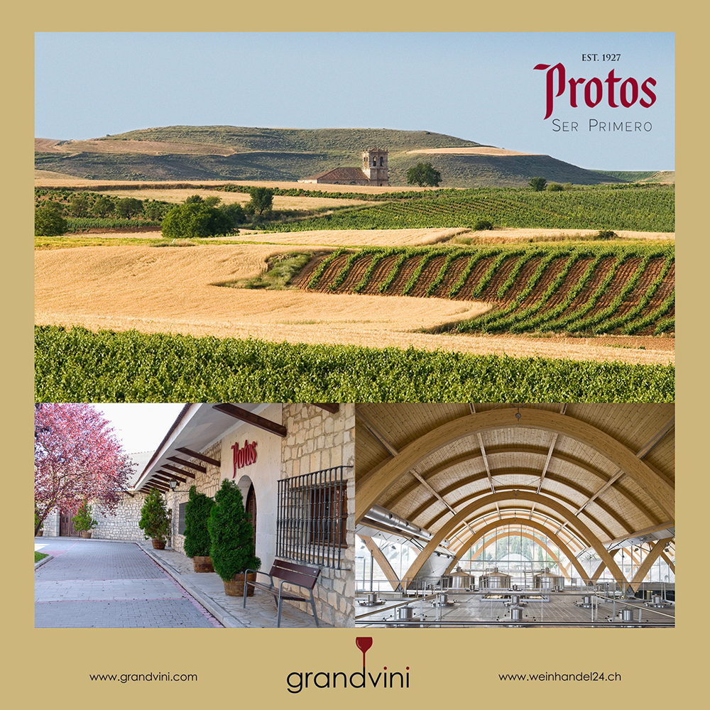 Protos Weinhandel24.ch Magazine