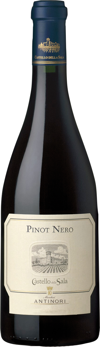 Pinot Nero Umbria IGT