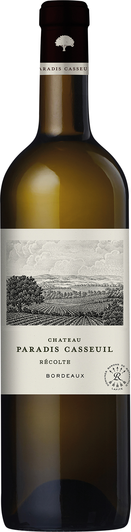 Château Paradis Casseuil Blanc