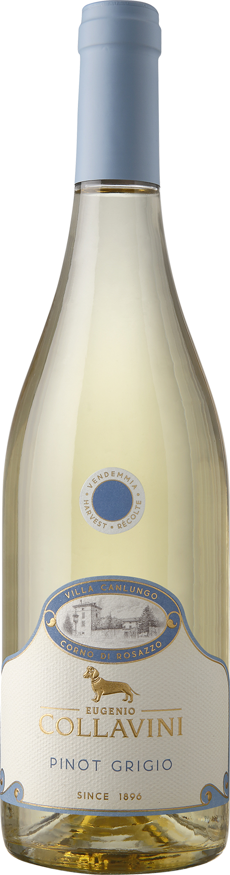 Villa Canlungo Pinot Grigio Friuli Venezia Giulia DOC