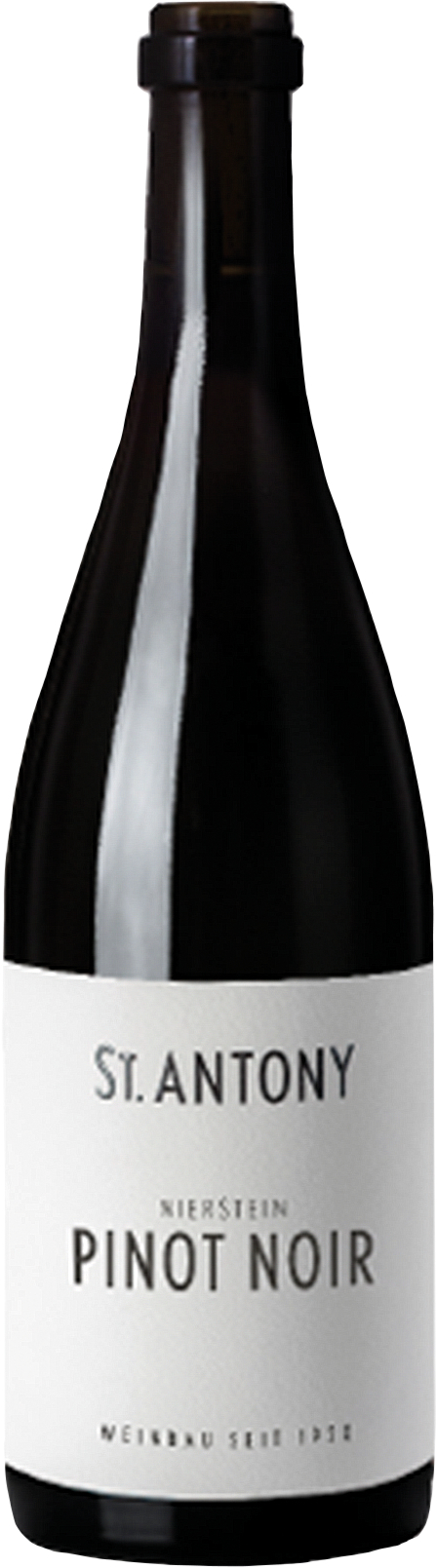 Nierstein Pinot Noir aus Ersten Lagen