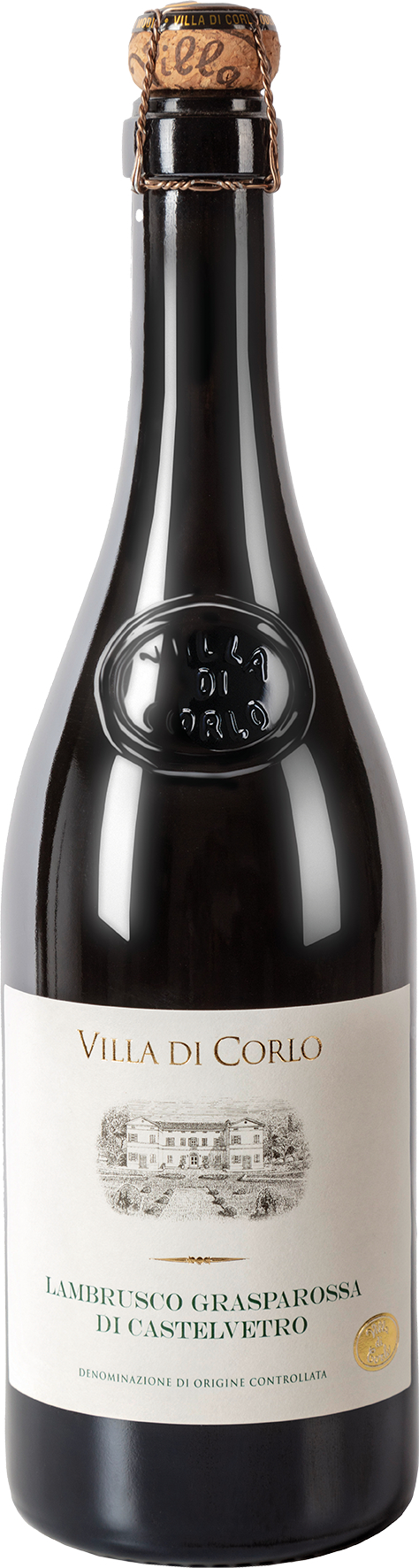 Lambrusco Grasparossa di Castelvetro DOC Secco