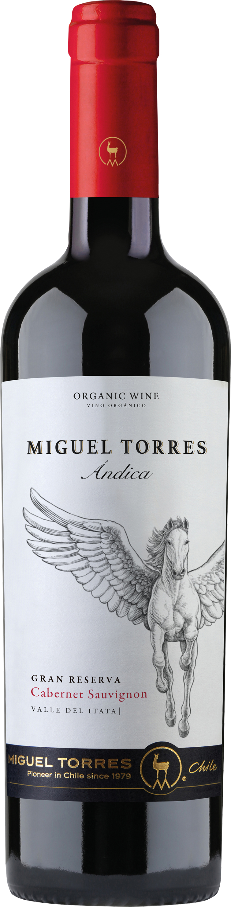 Andica Cabernet Sauvignon Torres