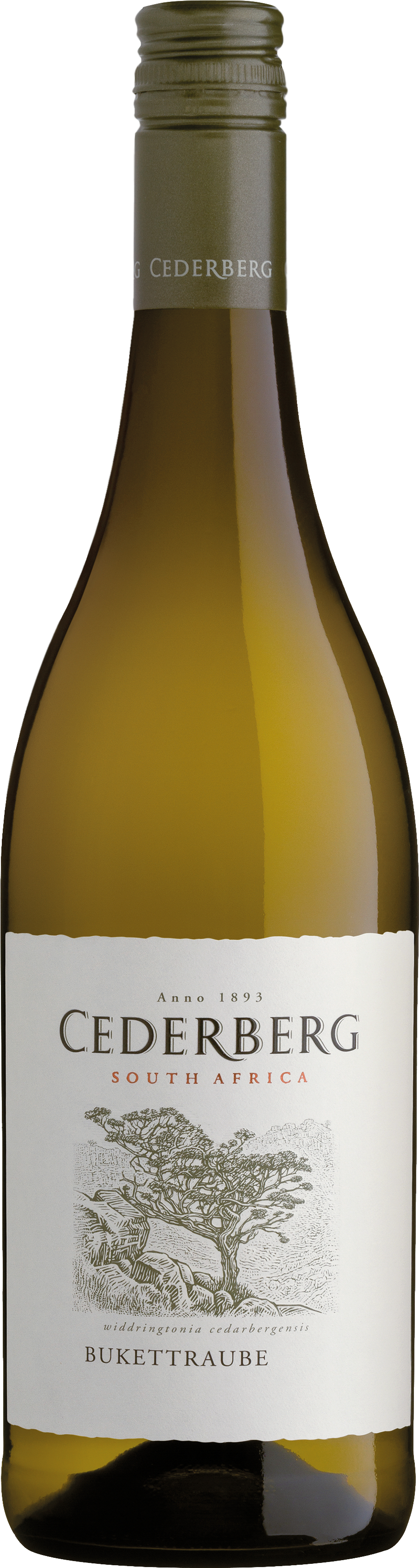 Cederberg Bukettraube WO Cederberg