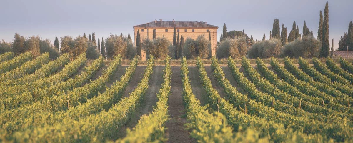 Weingut Argiano