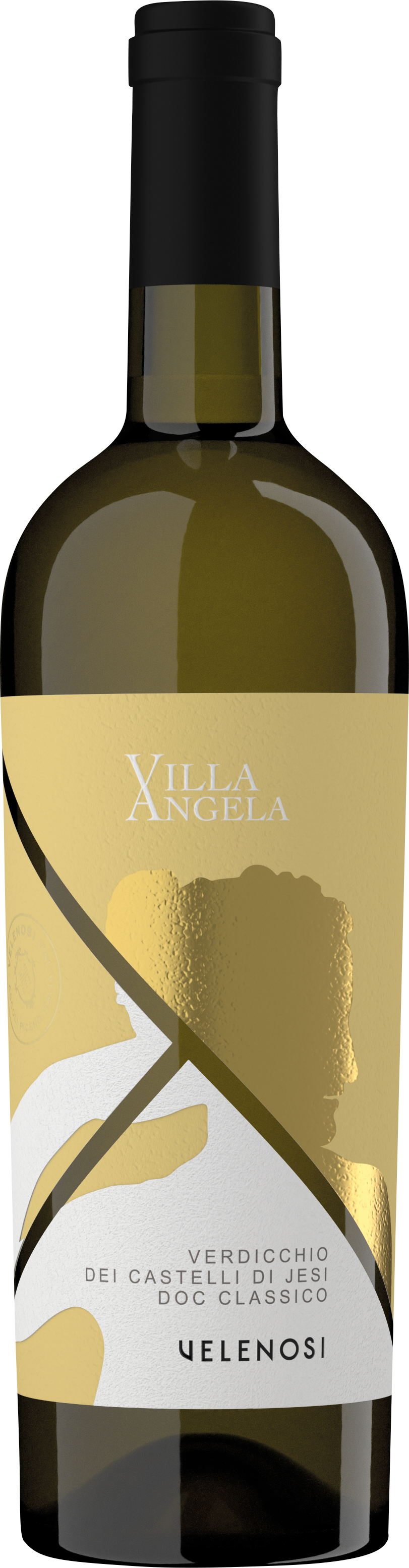 Querci Antica Verdicchio dei Castelli di Jesi DOC Classico