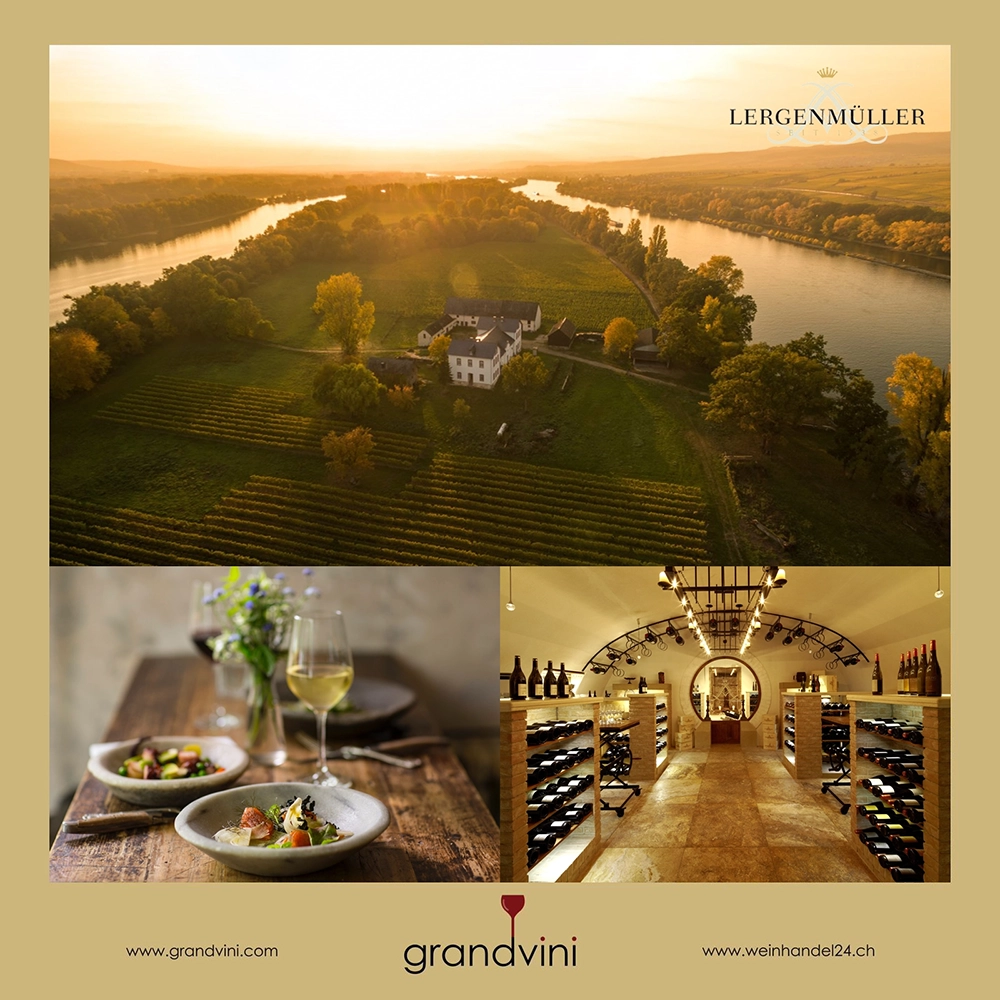 Weingut Lergenmüller Weinhandel24.ch Magazine